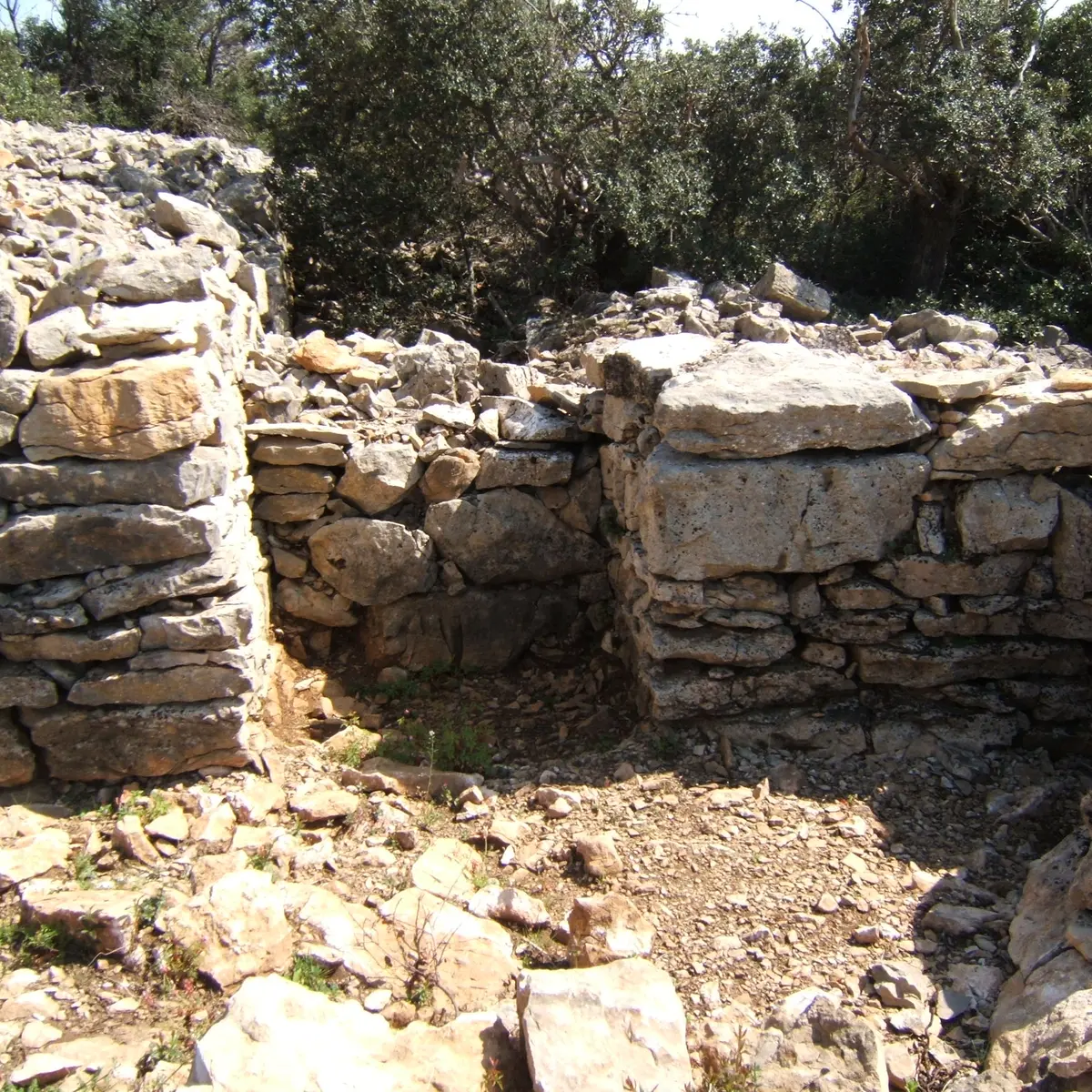 Oppidum du Castellas
