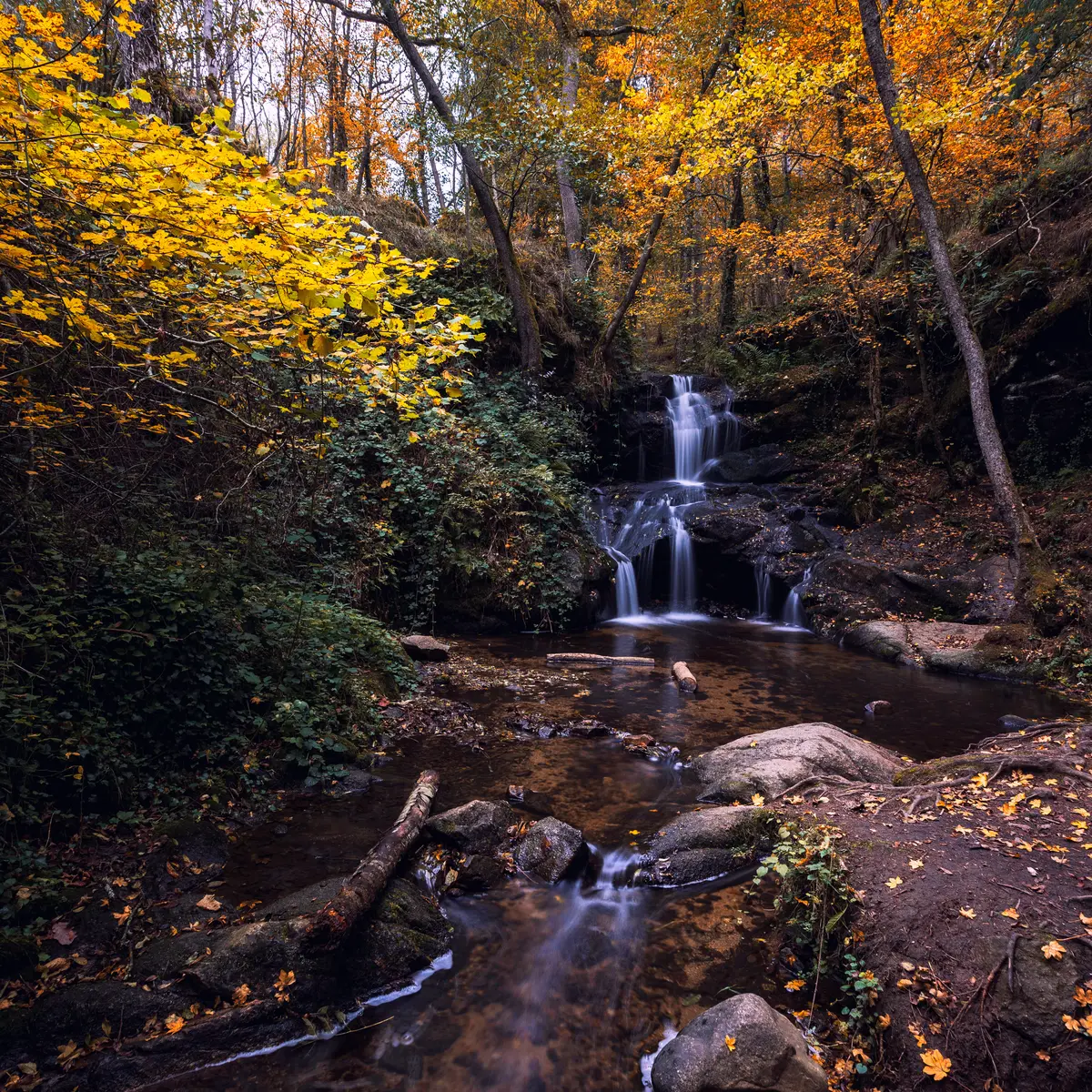Cascade du petit Gornand
