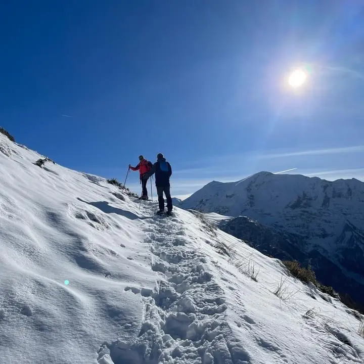 Raquettes avec les accompagnateurs en montagne_Orcières