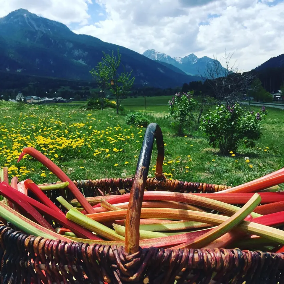 produits locaux maraicher légumes