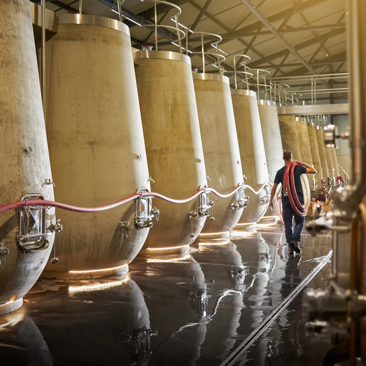 Château Gigognan - Chai à barriques