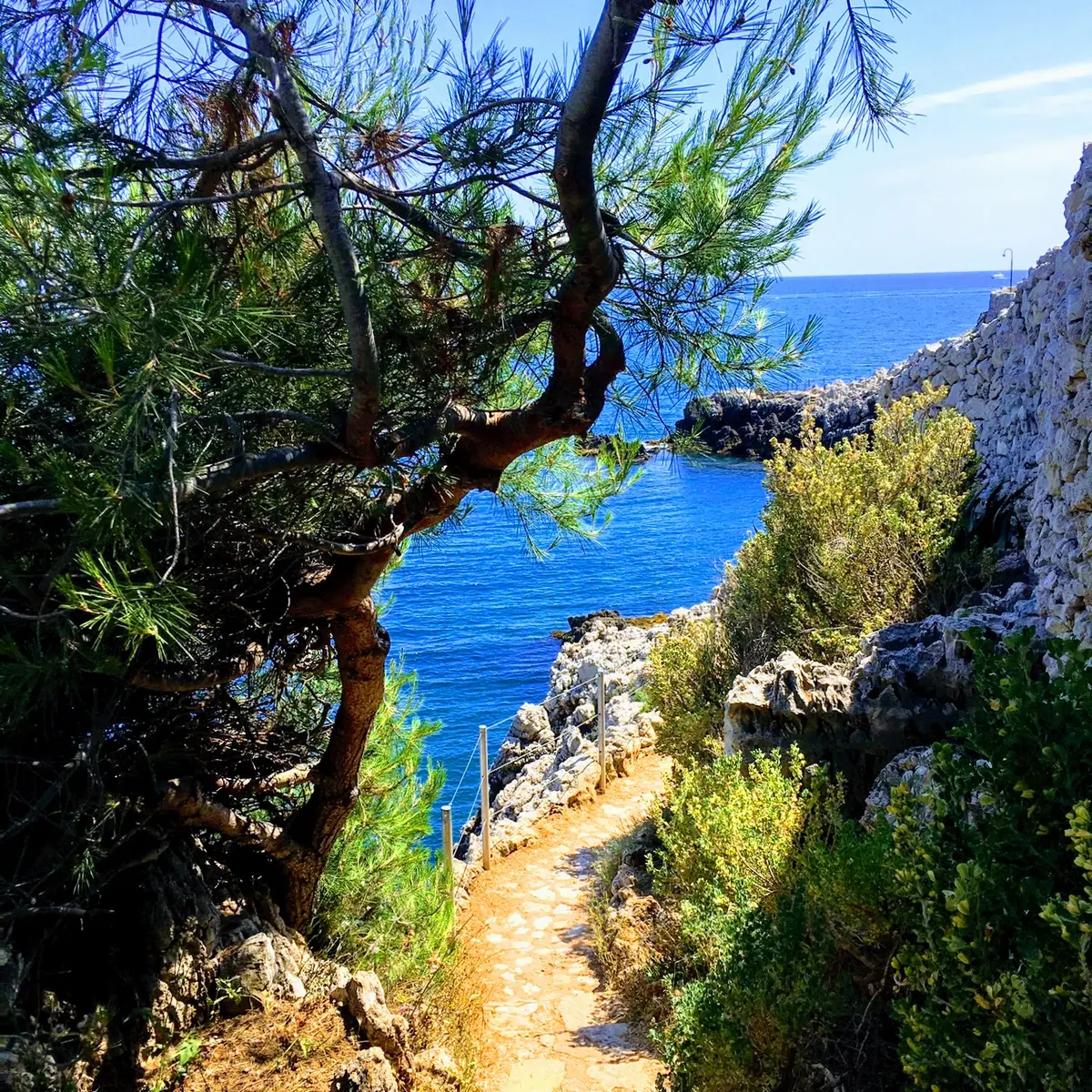Sentier_du_Littoral©KC_Office_de Tourisme Antibes