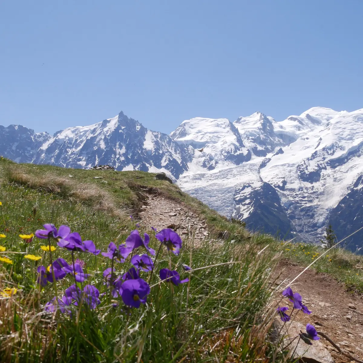 Evolution2-Chamonix-Randonée pédestre