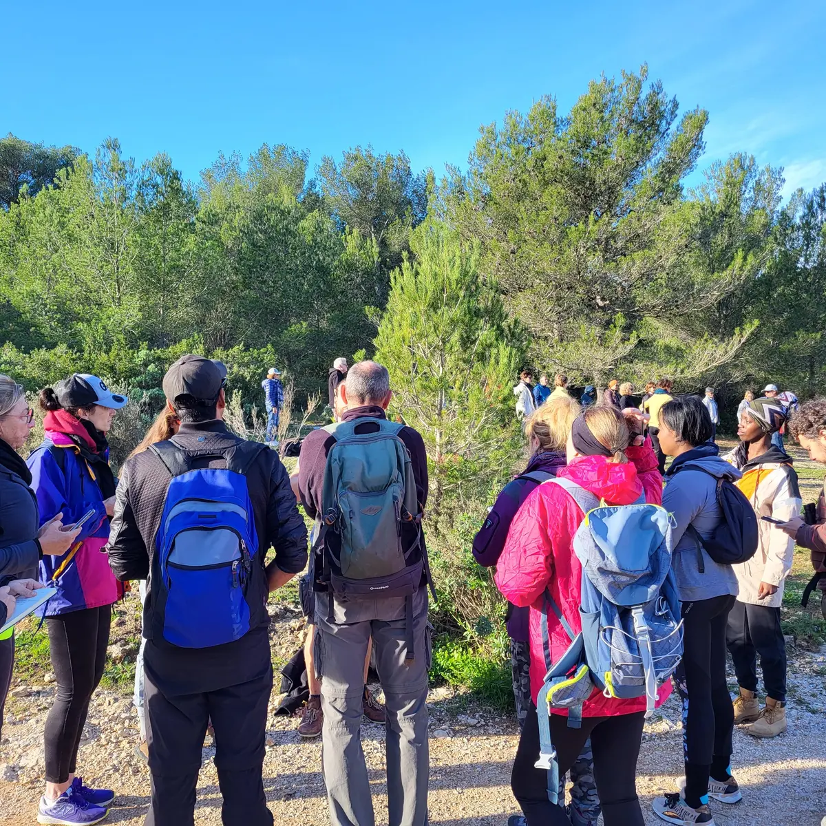 Rando Phyto Naturo poétique