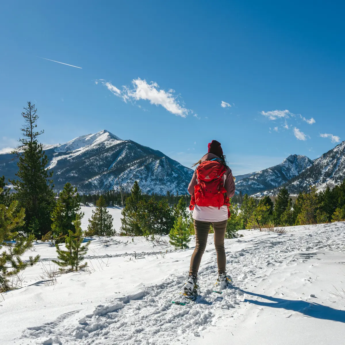 Vignette Train des neiges - Casterino
