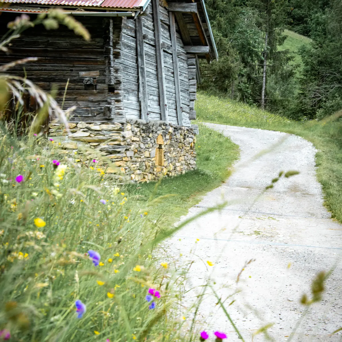 Chalet