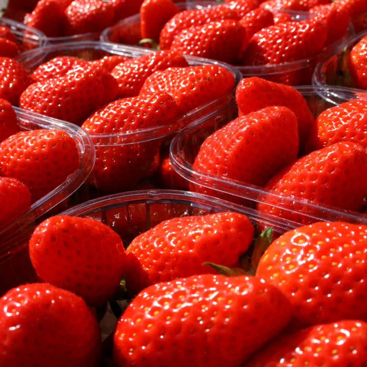 fraises
