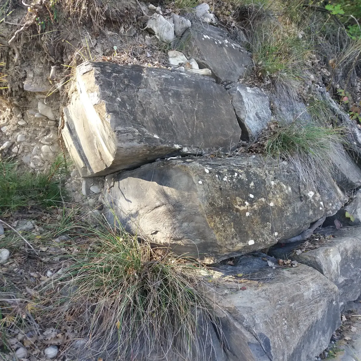 Vestiges de l'embarcadère