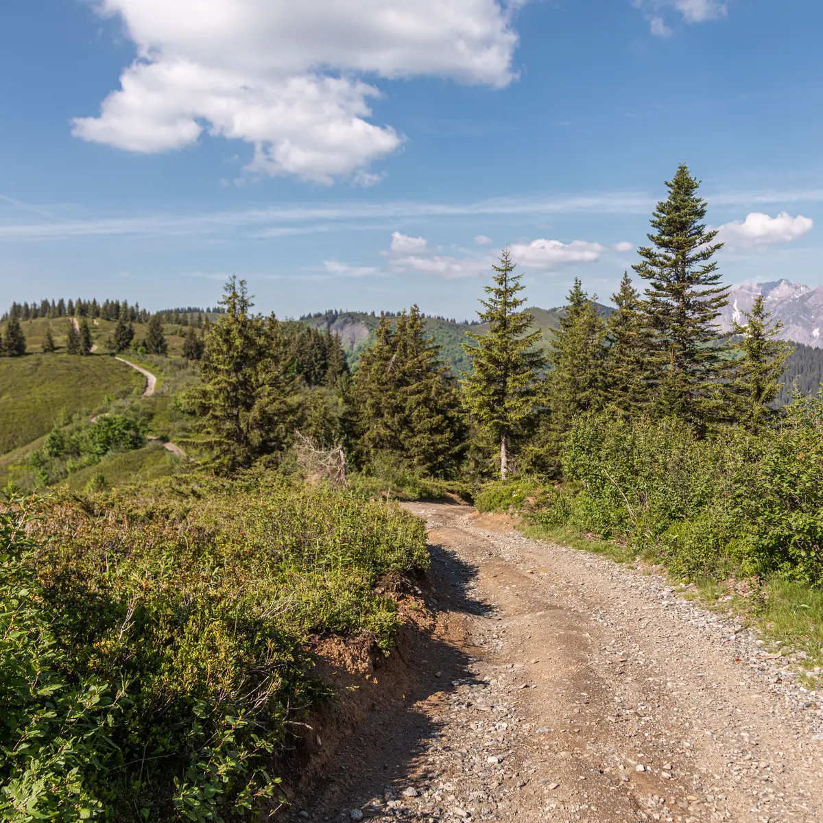 Chemin de terre sur le Jaillet