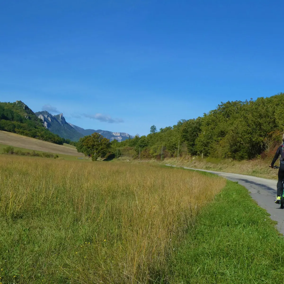 Petite route paisible