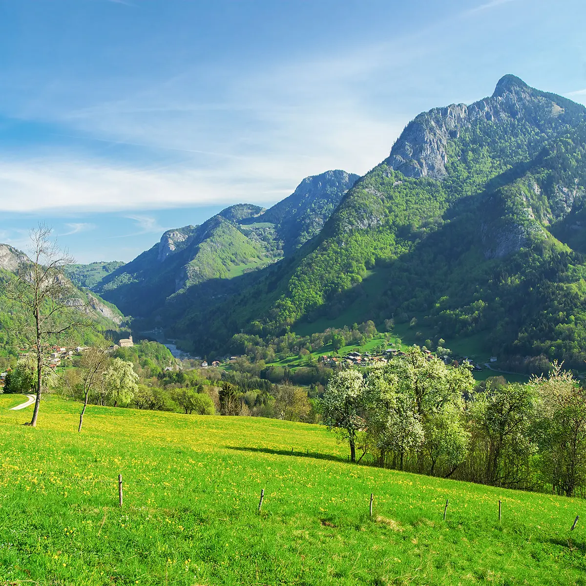 Vue sur le Mont-Ouzon