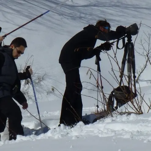 Observation de la faune