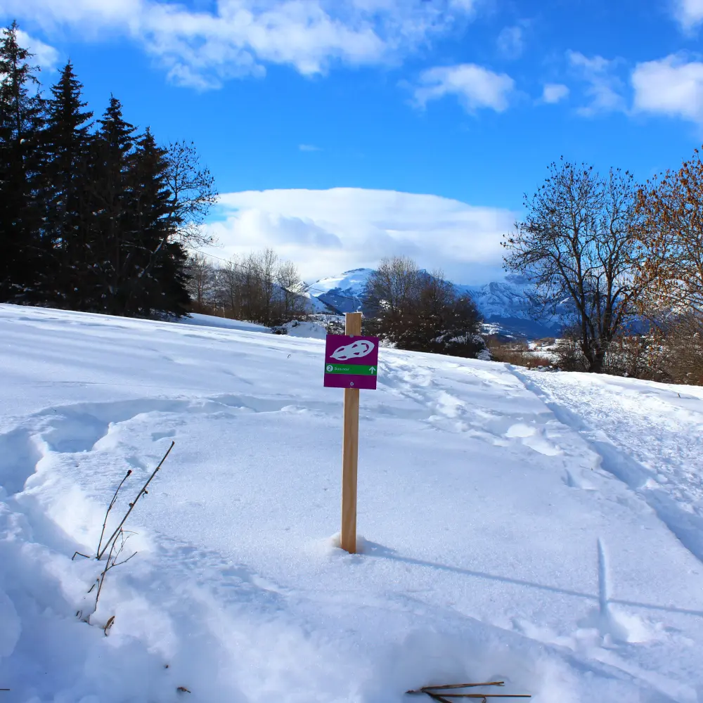 Raquettes Bois noir Ancelle