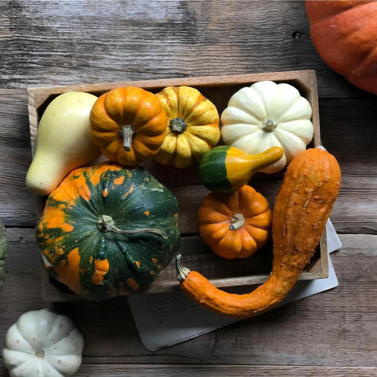 Des courges