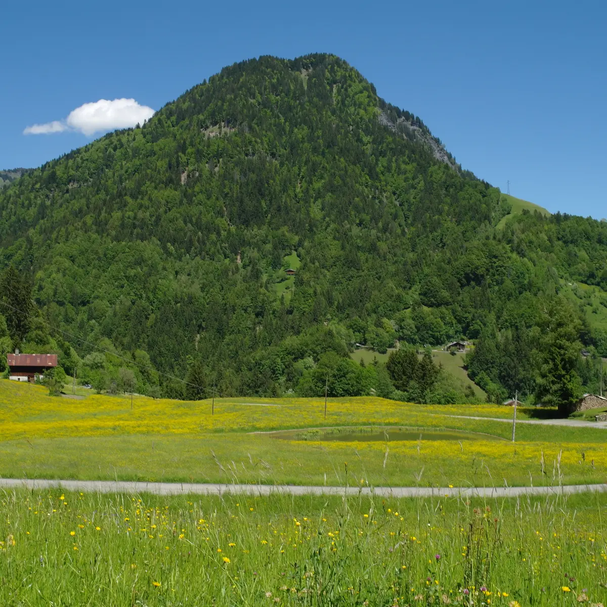 Vue d'ensemble de la montagne