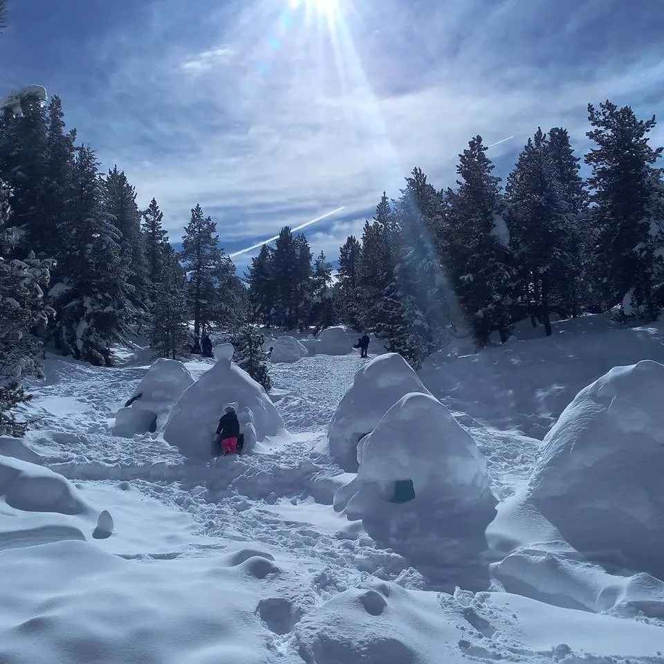 Village d'igloo