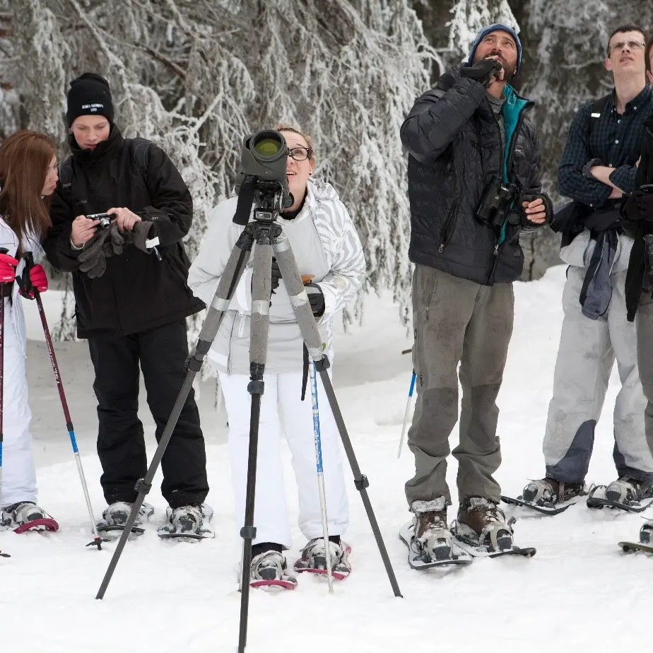 Observation de la faune