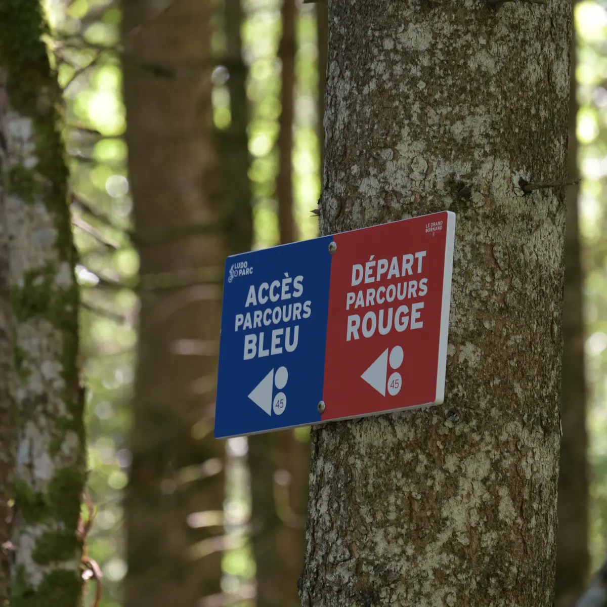 Balisage du ludoparc avec 2 panneaux pour les parcours bleu et rouge
