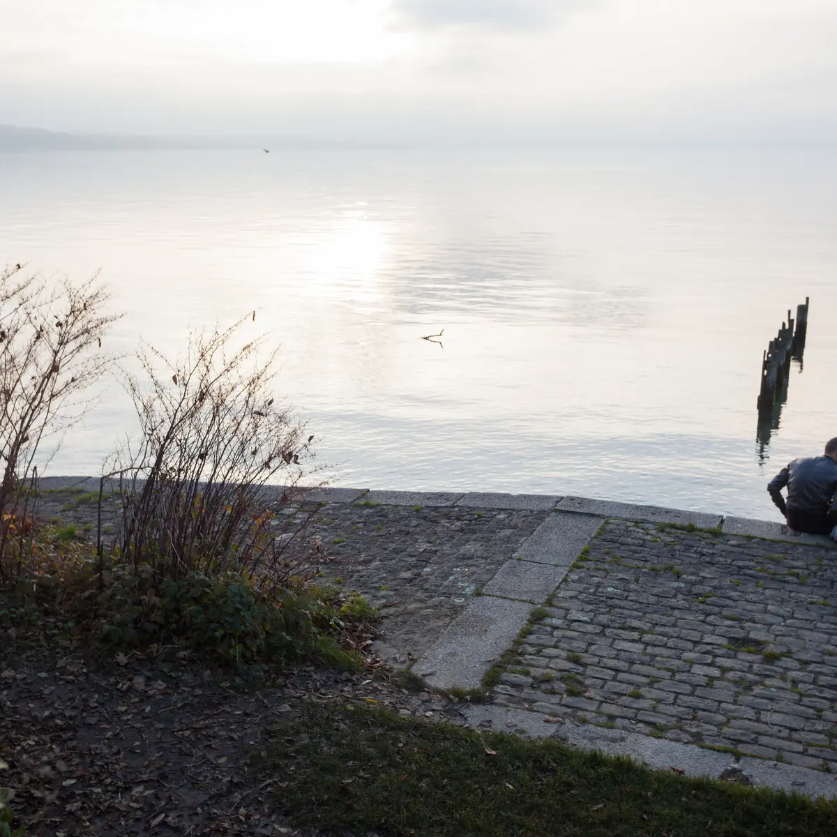 Sentier de la Pinede