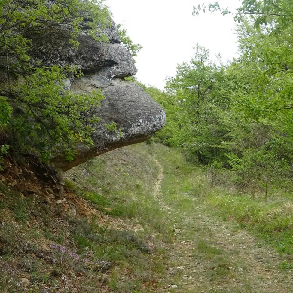 Entre bois et ravins