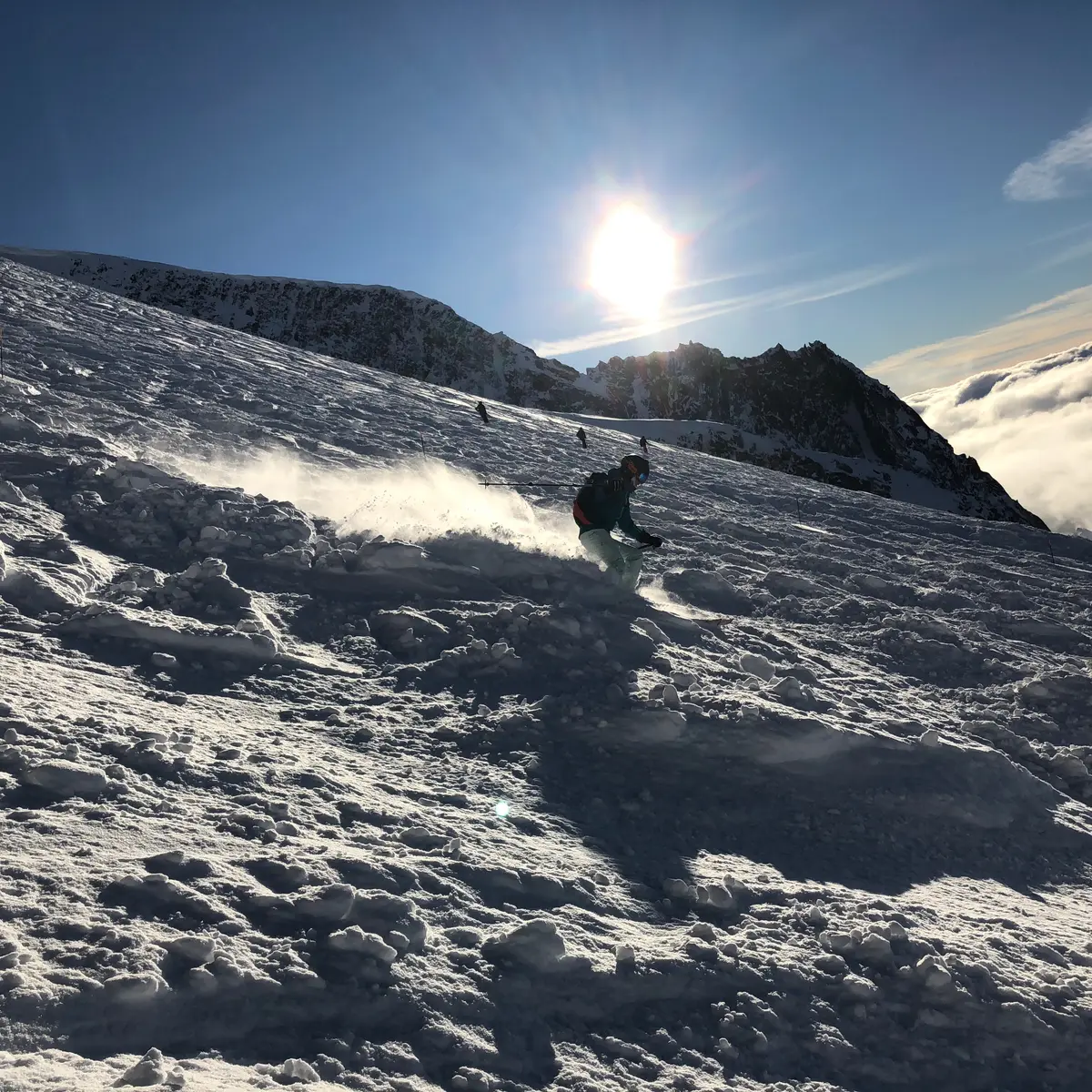 Domaine des Grands Montets, vue depuis la Pendant