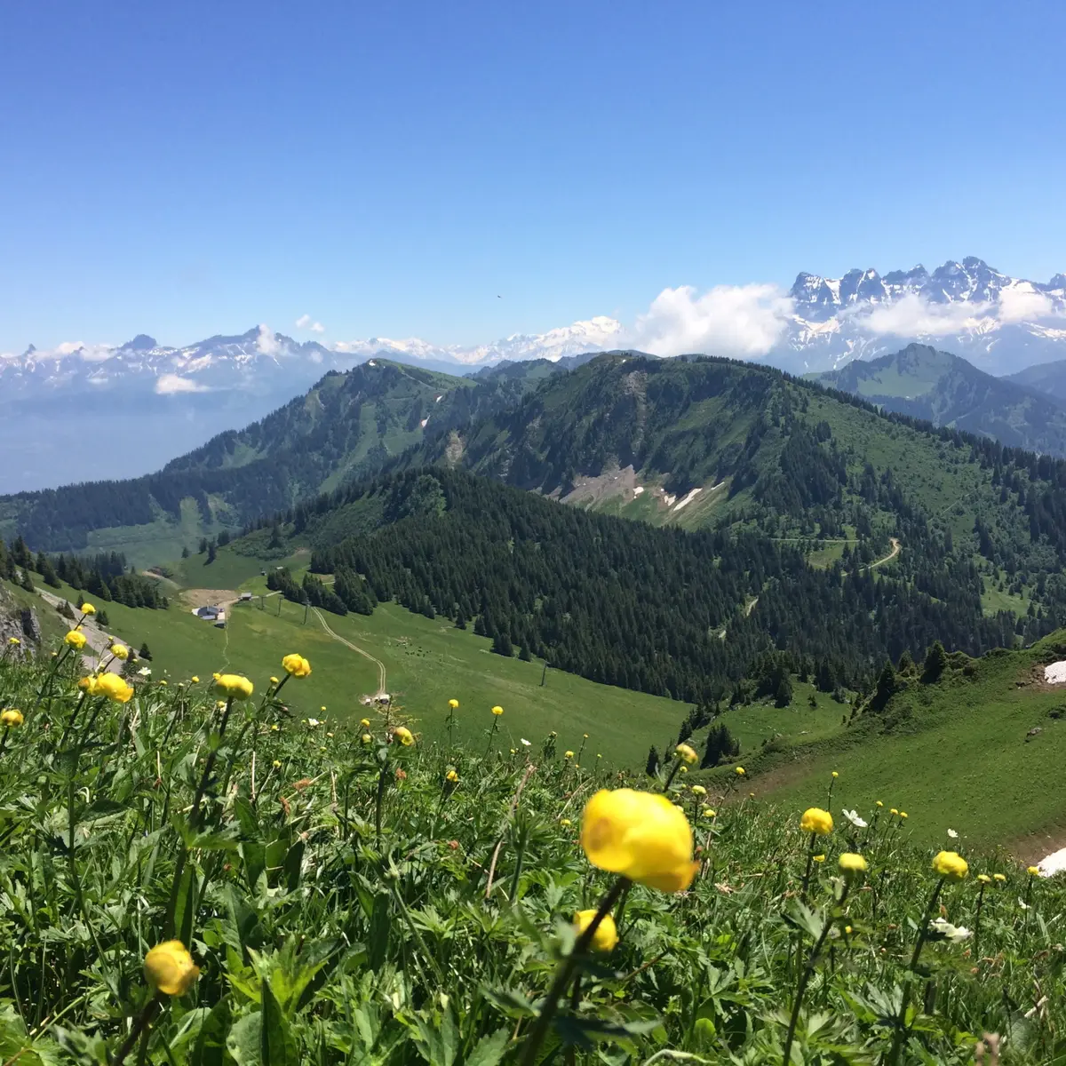 View on the Dents du Midi