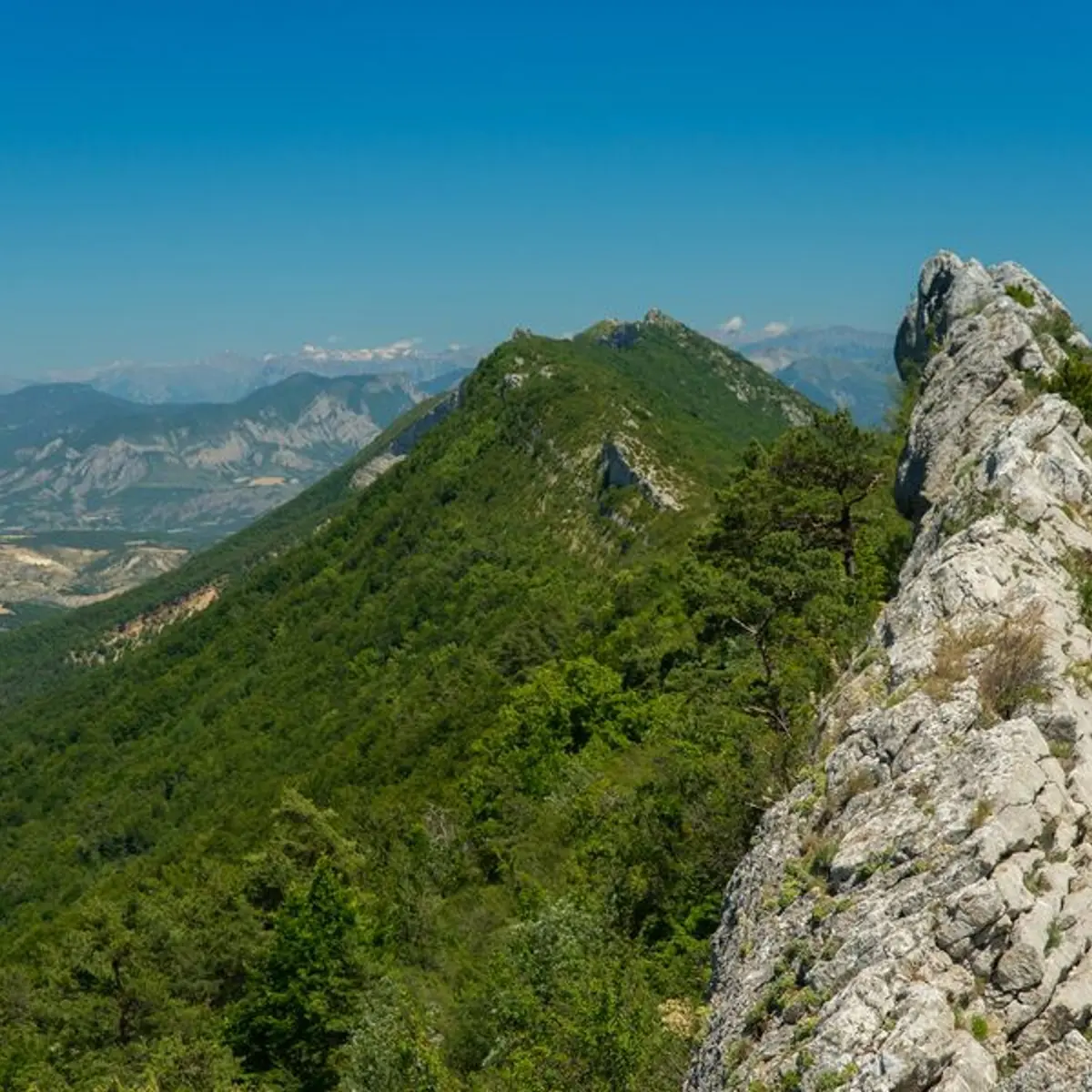 Col de St-Ange - 1266 m