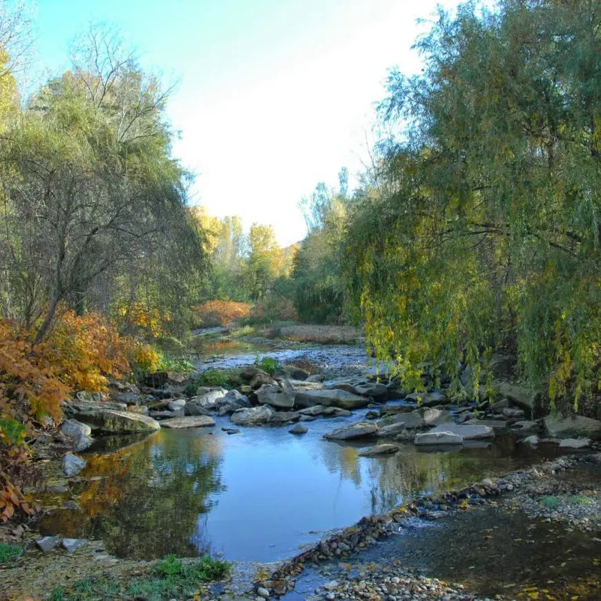 Entre sable et galets
