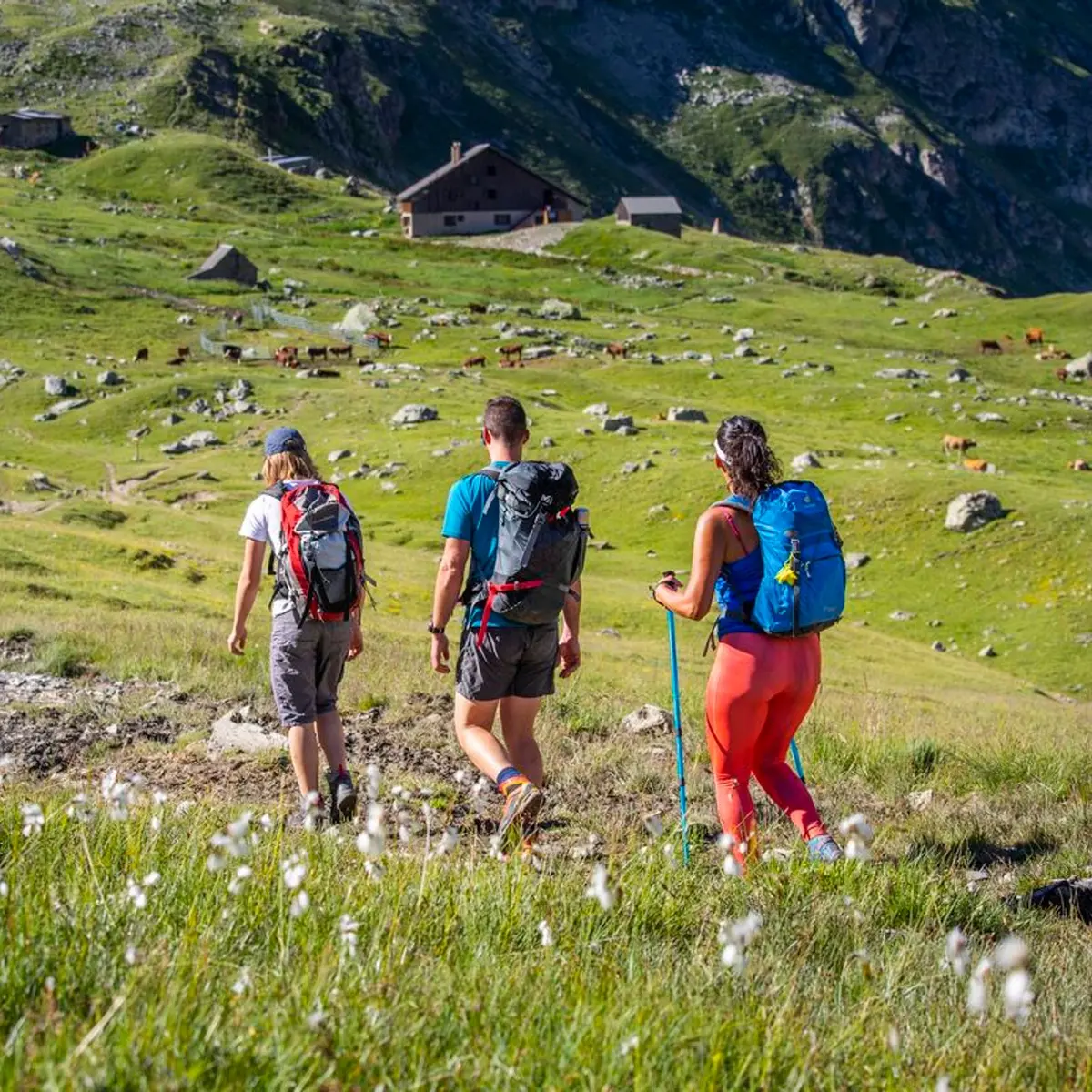 Arrivée au refuge de l'Alp de Villar d'Arène