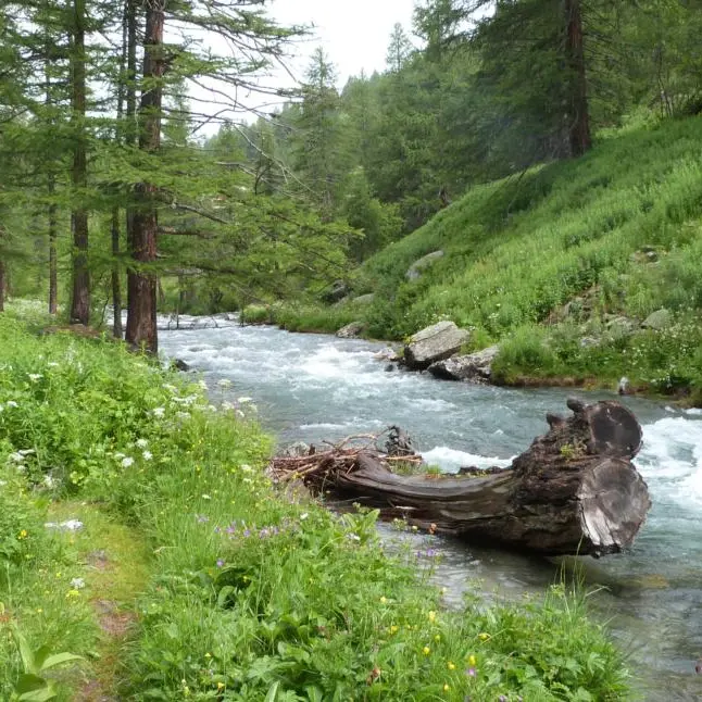 Pêche Hautes Alpes - Randonnée Clarée