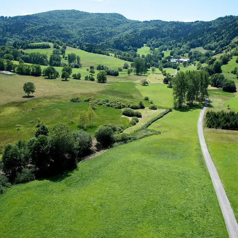 Marais du Nécuidet