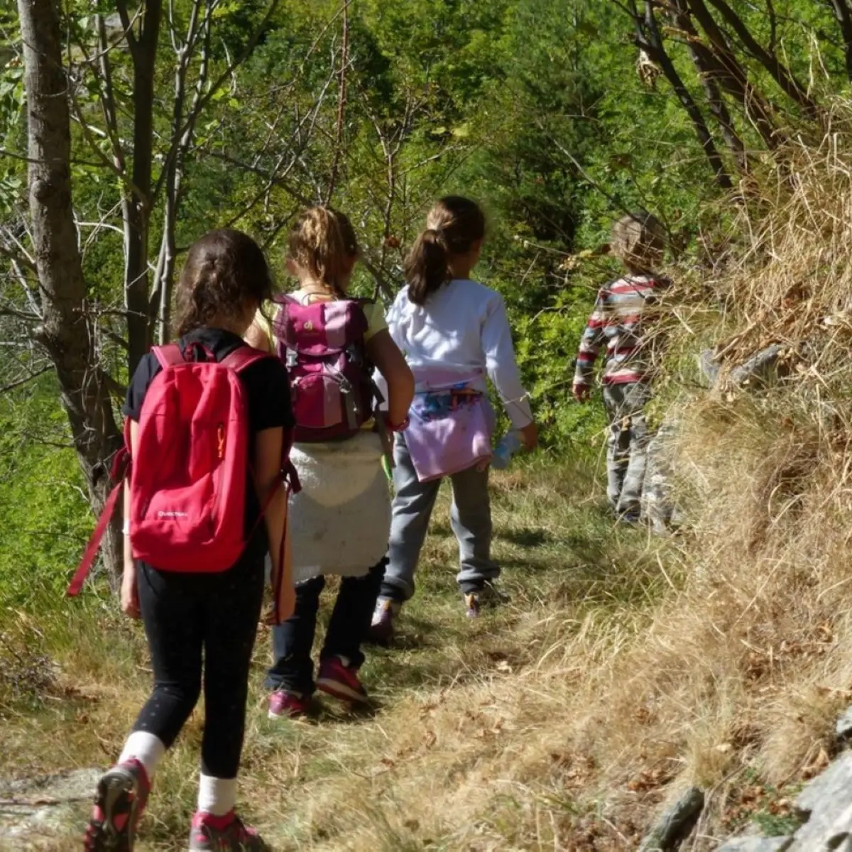 Photo balade botanique