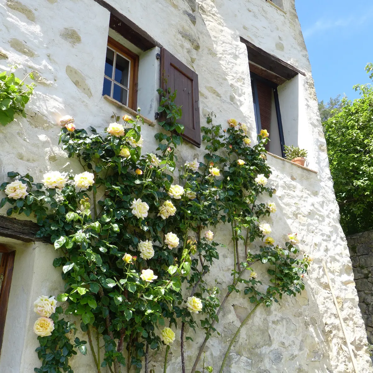 Chambre d'hôte le Chaméléon