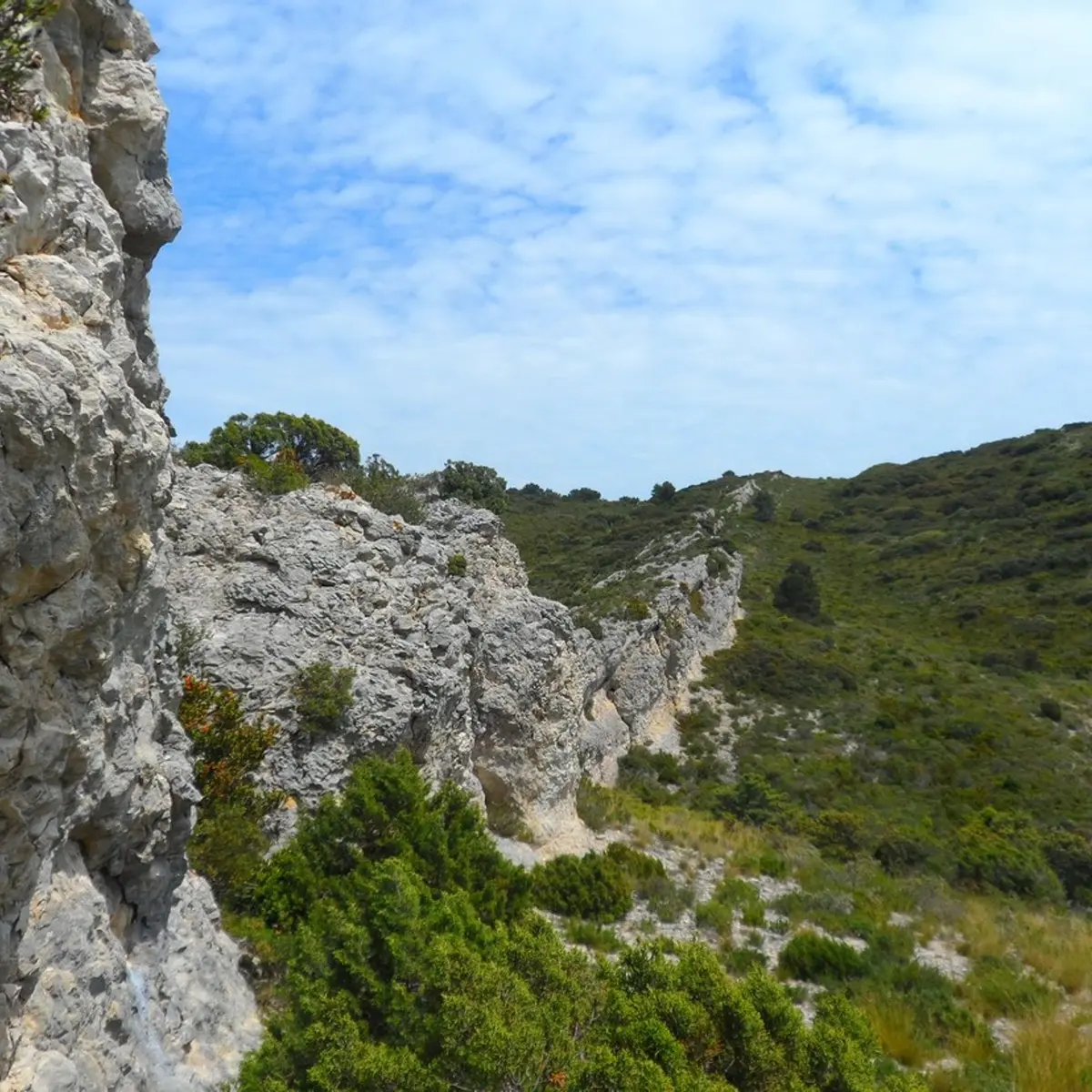 Le long du chemin de Baume Brignolle