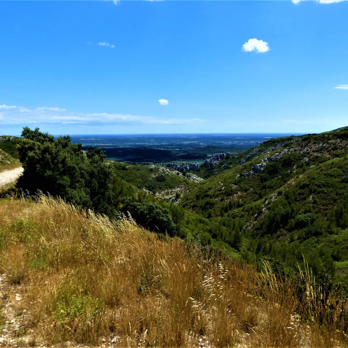 Vue sur la plaine de la Crau