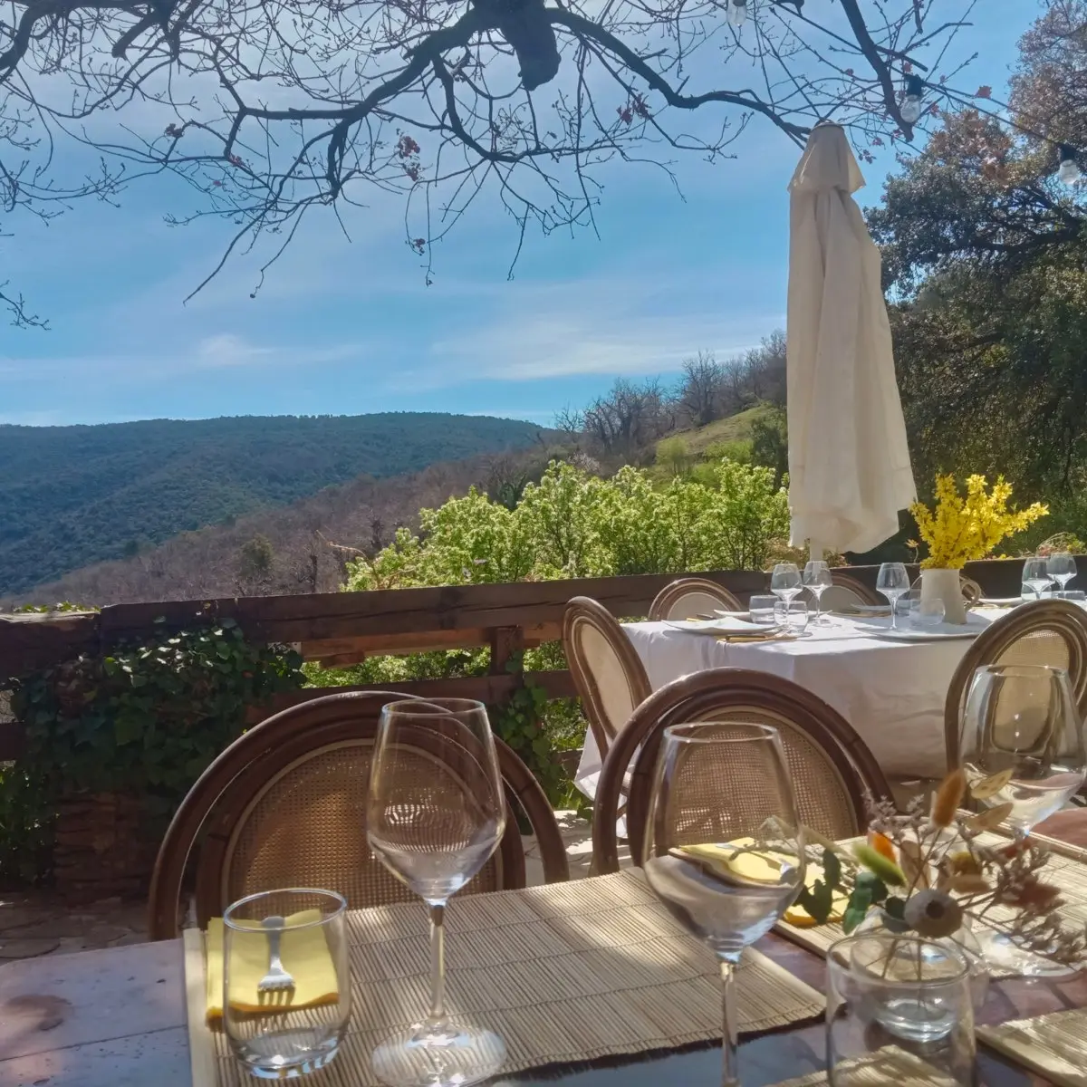 Les restaurants à Collobrières