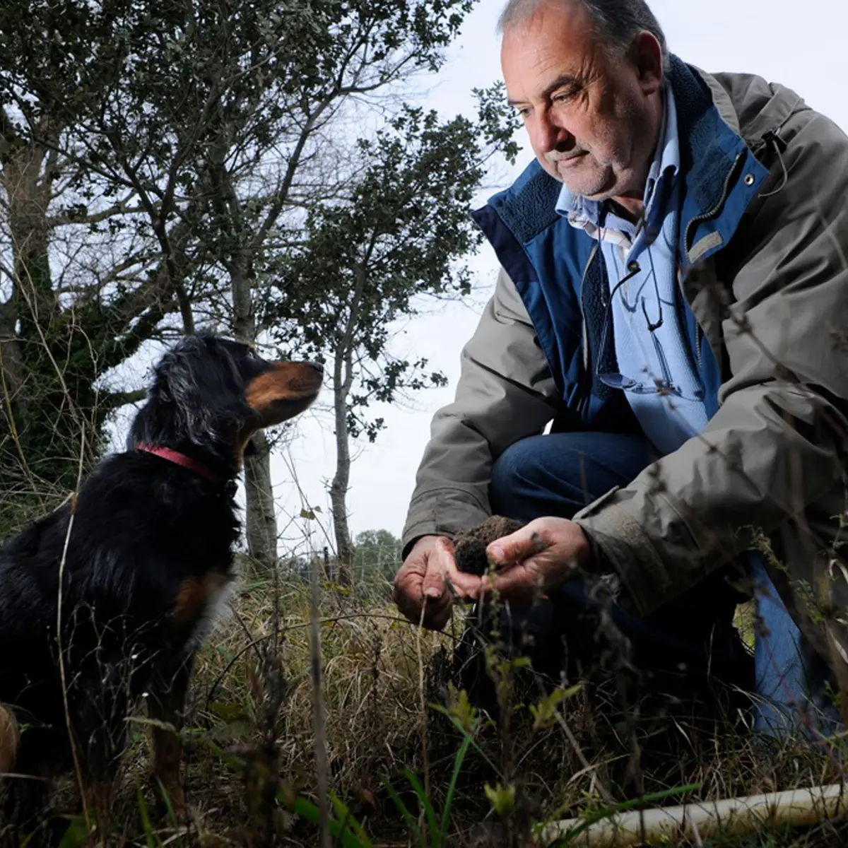 Domaine de Montine. Cavage avec le chien