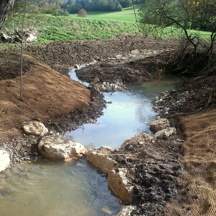 Restauration du cours d'eau Marais du Nécuidet