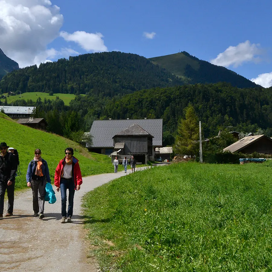Sur le sentier des bords de Dranse - Abondance