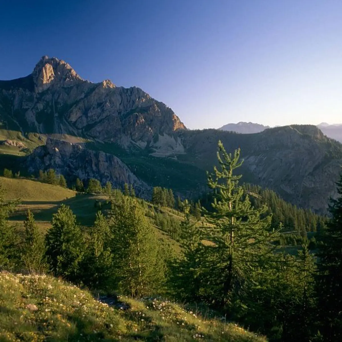 La tête de Gaulent vue depuis les abords de la crête de la Selle