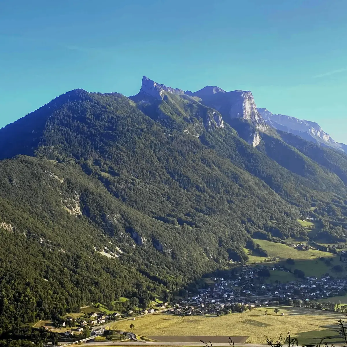 Vue depuis le Crêt