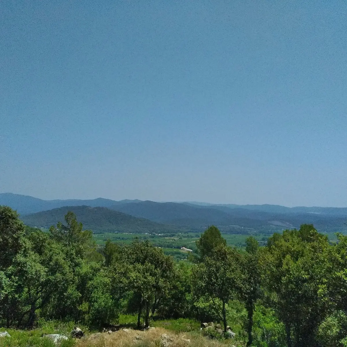 Panorama sur le massif forestier et les collines environnantes