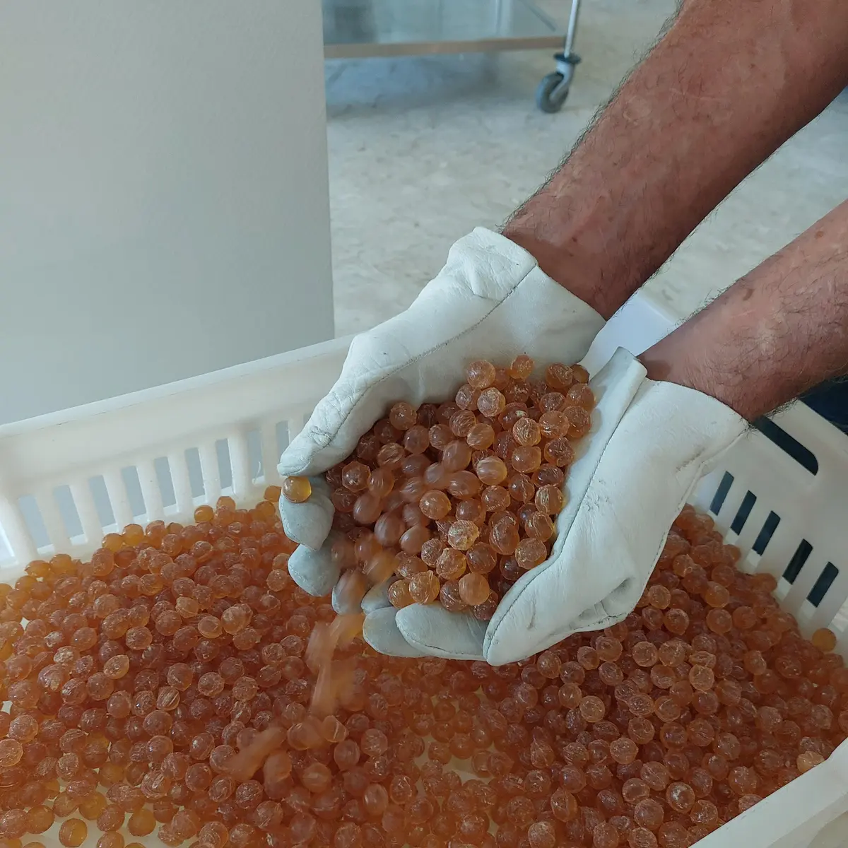 confiserie des 3 ours