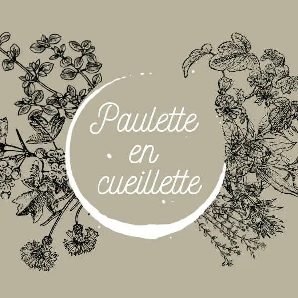 Paulette en cueillette - Productrice de plantes médicinales et aromatiques
