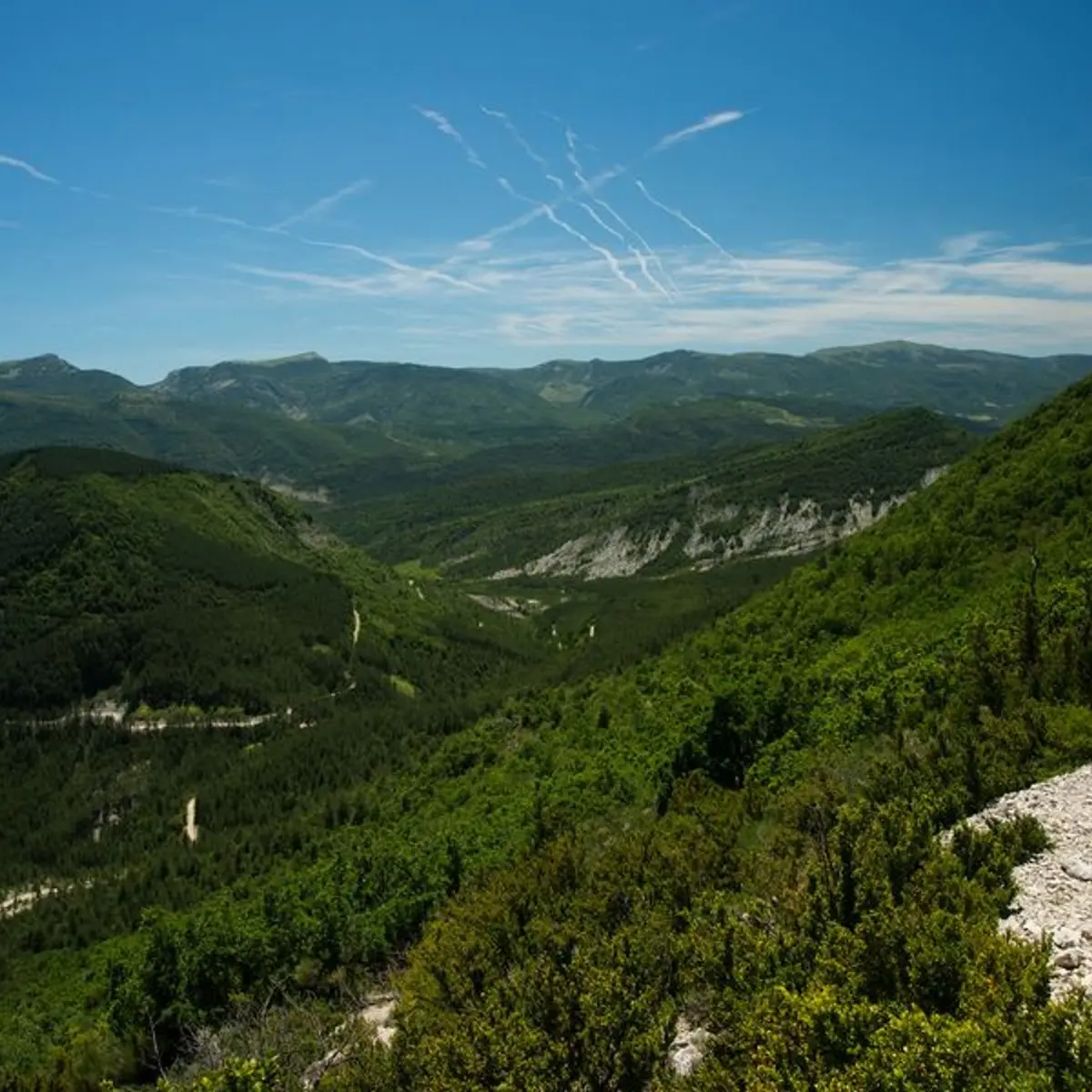 Sentier panoramique bordant la Forêt Domaniale de la Méouge