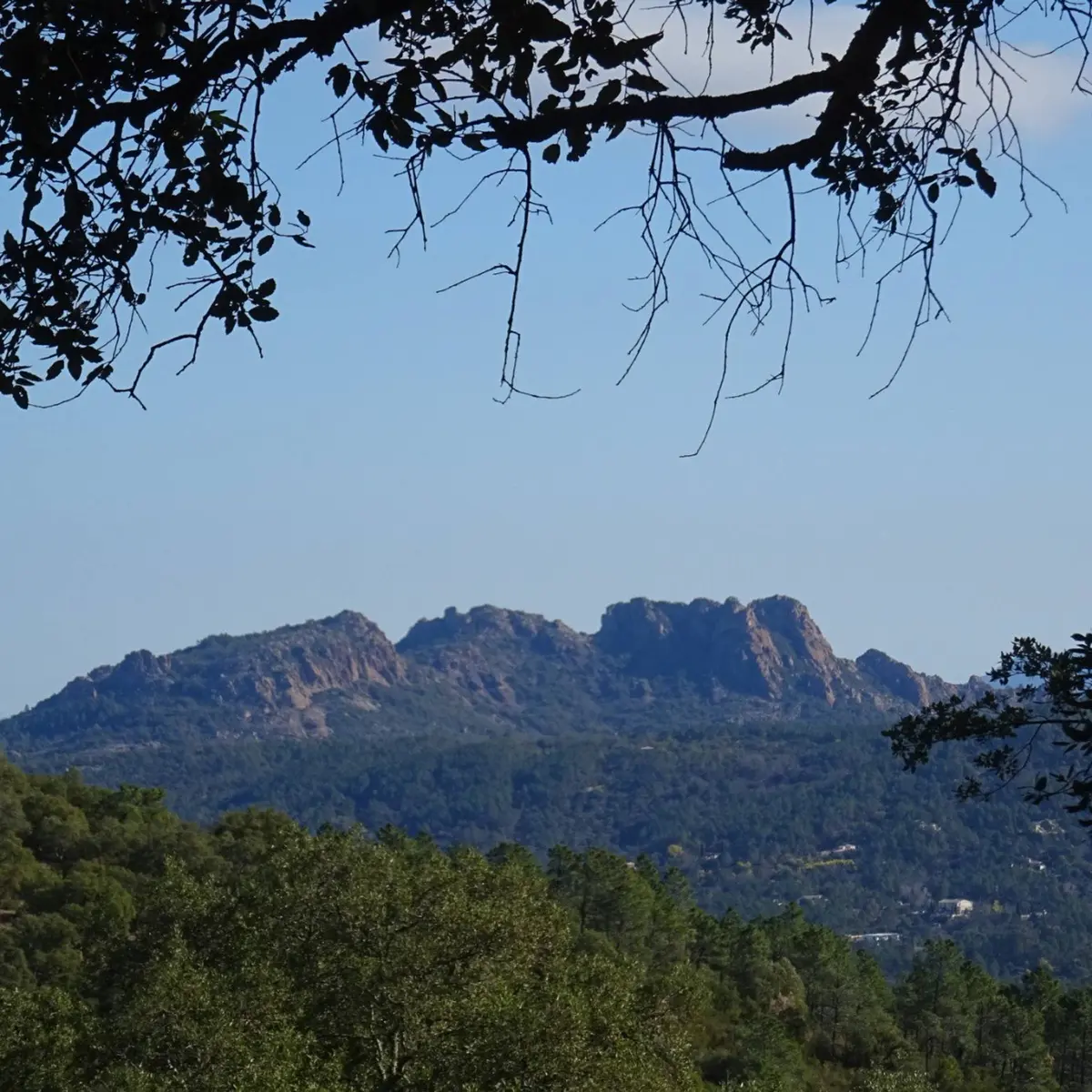 Vue sur le rocher de Roquebrune