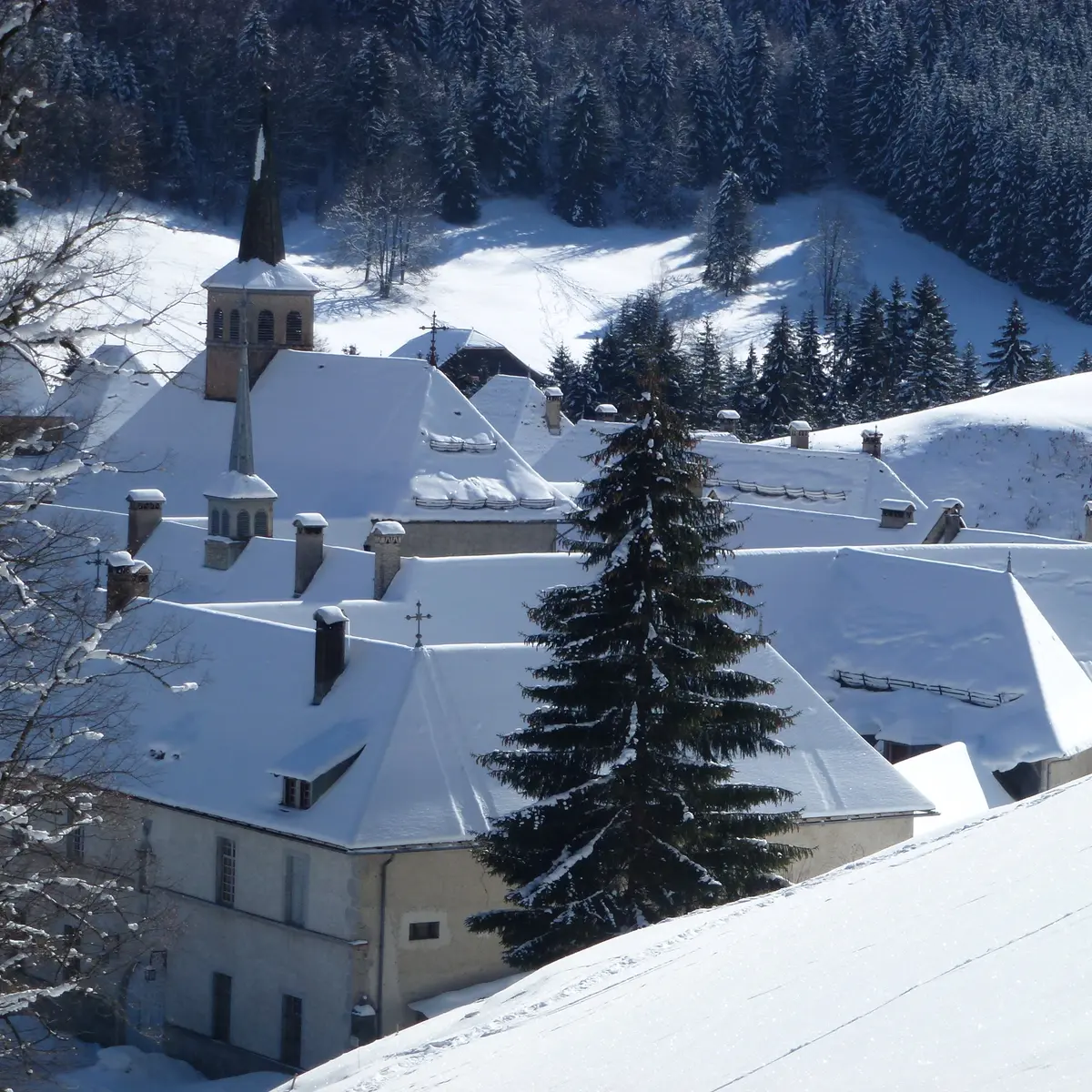 La Caronière