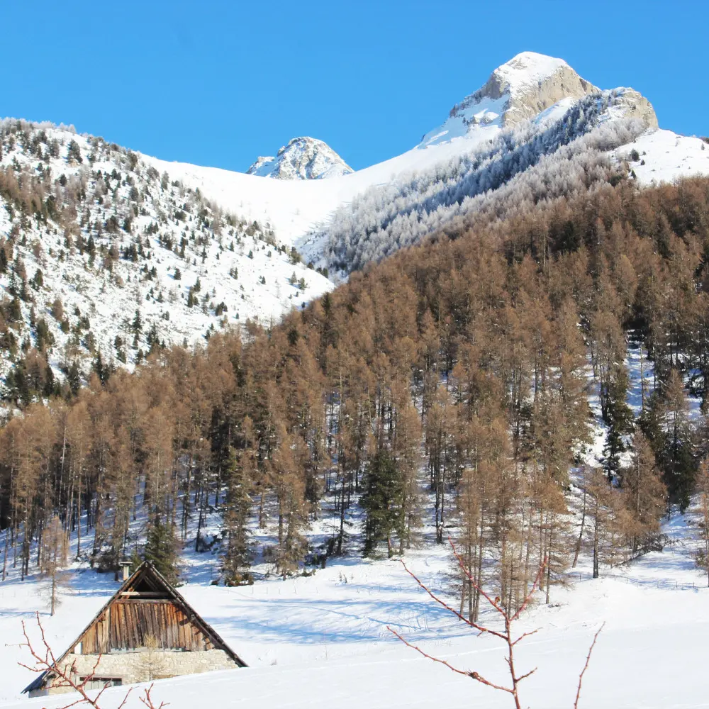 Raquette hameau de Moissière, Ancelle
