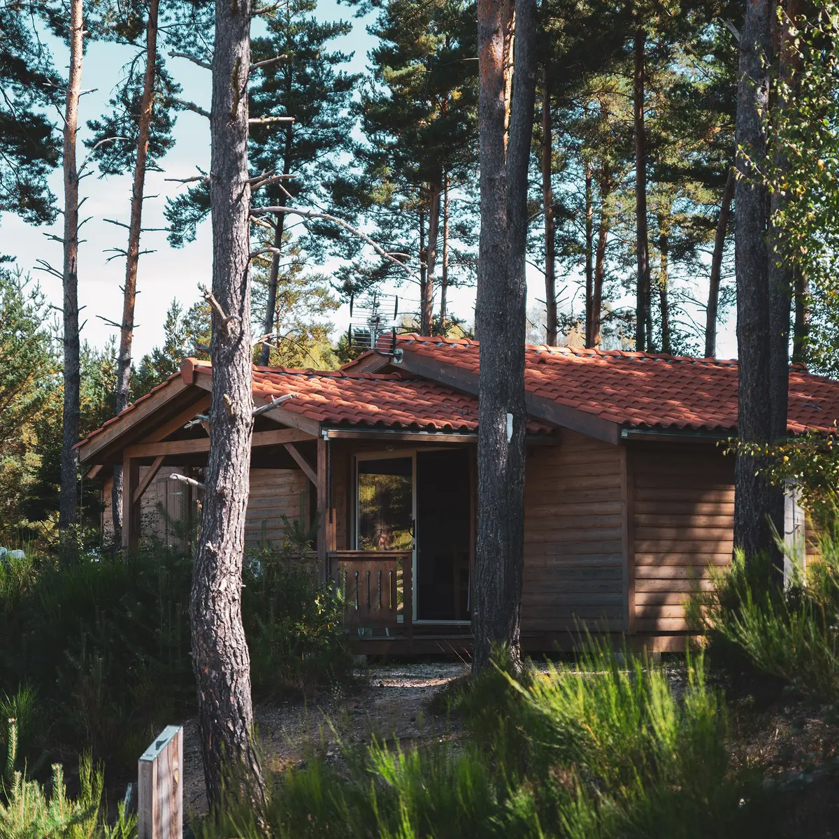 les chalets du Haut Forez