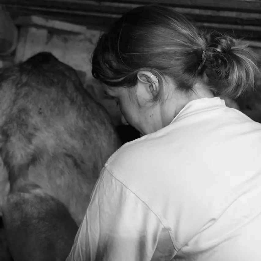 Ferme Au bonheur des fromages